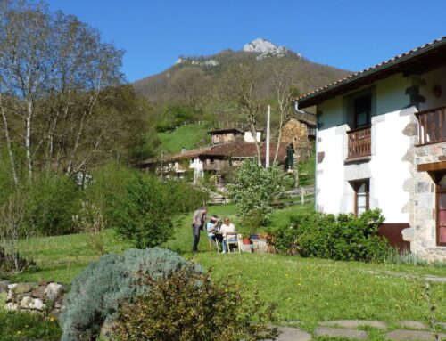 Prepara tu escapada de verano en Los Riegos
